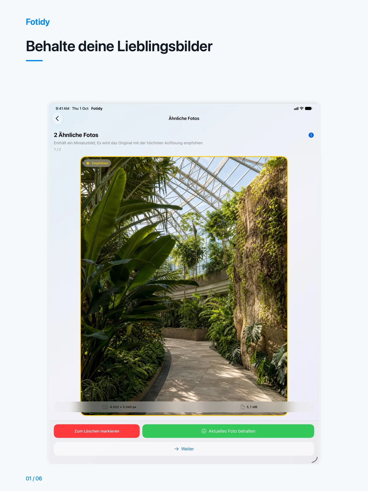 iPad · Behalte deine Lieblingsbilder
